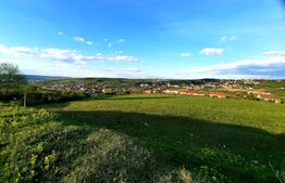 Teren cu suprafata de 800 mp, PUZ in lucru, zona de case, Borhanci