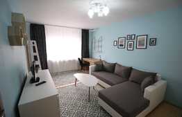 Apartament 1 camera, 28 mp, prima inchiriere, zona strazii Campului