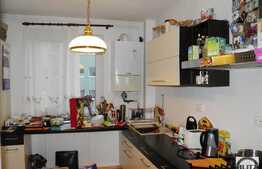 3 camere, 94 mp, partial mobilat, zona strazii Becas