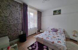 Oportunitate! 2 camere, 39mp+ 45mp mansarda, zona stadionului CFR, Gruia