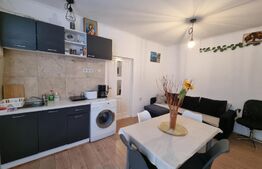 Oportunitate! 2 camere, 39mp+ 45mp mansarda, zona stadionului CFR, Gruia