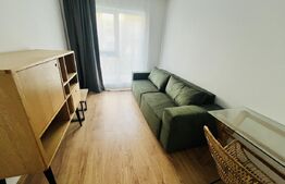 Apartament cu 3 camere,58 mp, zona Cetatii
