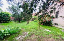 Casa individuala, 180 mp utili, 600 mp curte, parcari, zona strazii Gruia