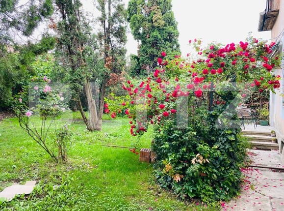 Casa de închiriat 4 camere Gruia - 141597CI | BLITZ Cluj-Napoca | Poza5