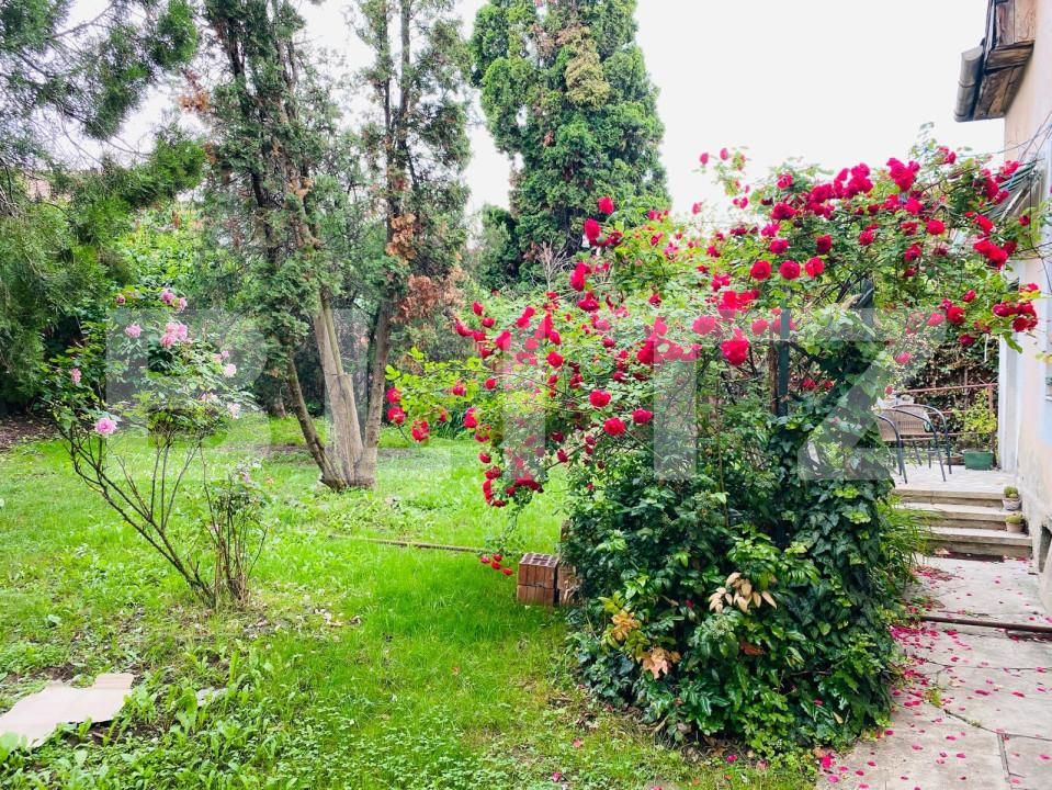 Casa de închiriat 4 camere Gruia - 141597CI | BLITZ Cluj-Napoca | Poza5