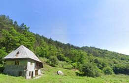 Cabana Baisoara, 52mp, 1800 mp teren