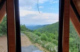 Cabana finisata, 4 camere, 82mp utili, 1500 mp teren, Valea Ierii - Plopi