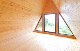 Cabana finisata, 4 camere, 82mp utili, 1500 mp teren, Valea Ierii - Plopi