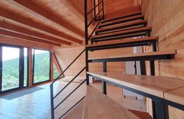 Cabana finisata, 4 camere, 82mp utili, 1500 mp teren, Valea Ierii - Plopi