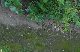 Casa individuala, 80 mp utili, teren 200mp, 3 camere, zona Farmec