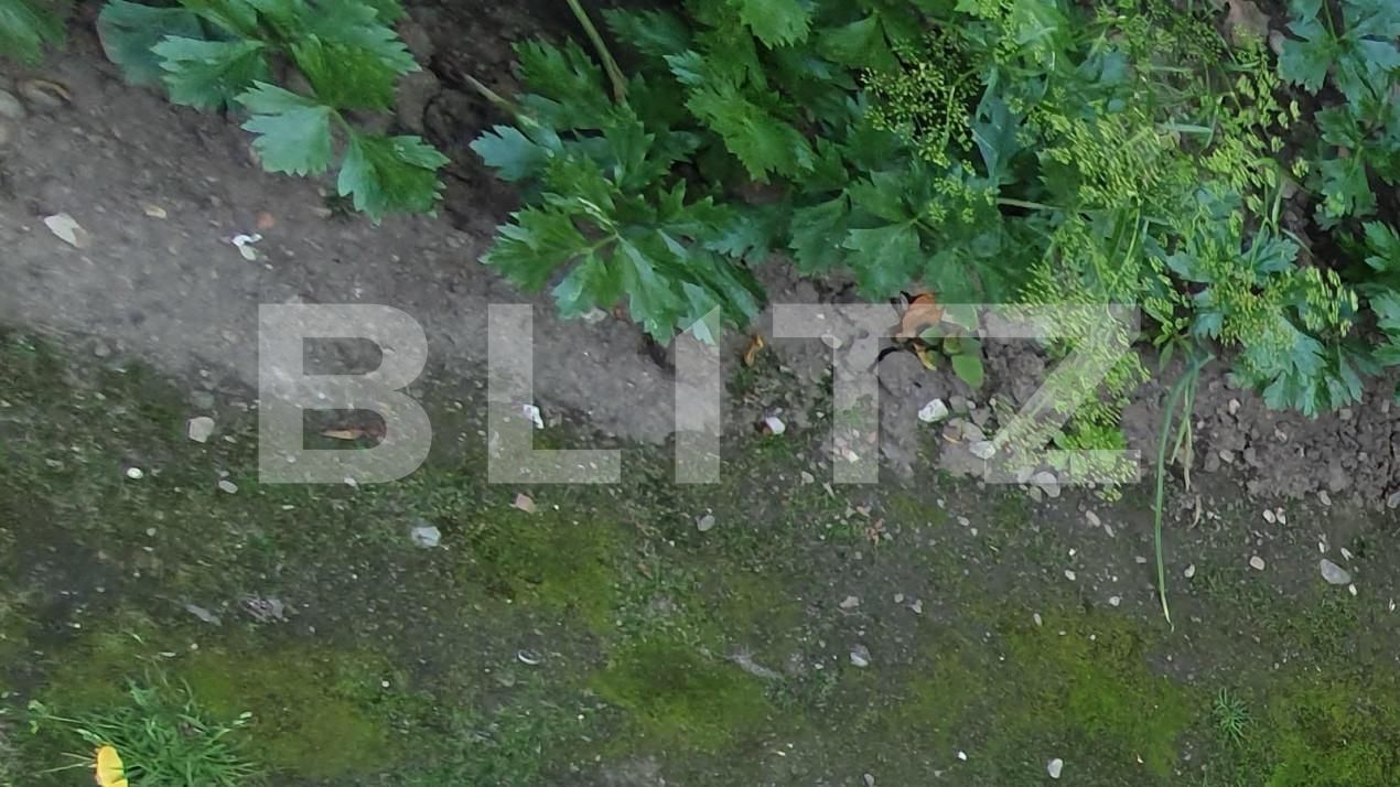 Casa de vânzare 3 camere Marasti - 141610CV | BLITZ Cluj-Napoca | Poza7