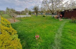 Casa de vanzare, Mihai Viteazu 129 mp utili, teren 1800 mp