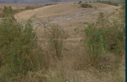 Teren intravilan, 3500 mp, Comuna Ciurila