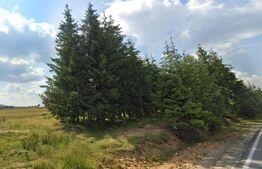  Teren Cabana Belis 1000mp, utilitati