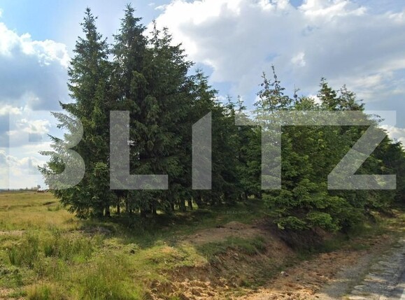 Teren de vânzare Beliș - 141623TV | BLITZ Cluj-Napoca | Poza1