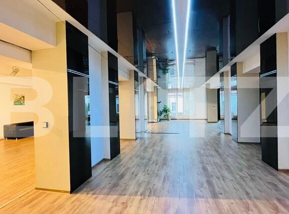 Spațiu birouri de închiriat Central - 141685SIB | BLITZ Cluj-Napoca | Poza1