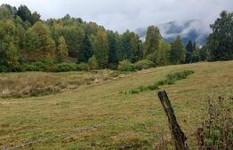 Teren intravilan Rasca, 4000 mp, front 30 ml, apa, curent, internet