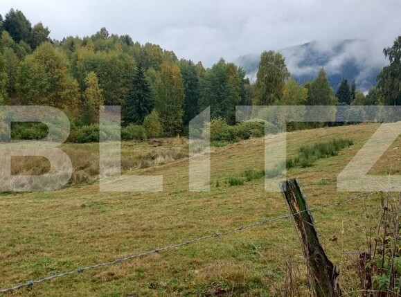 Teren de vânzare Râşca - 141686TV | BLITZ Cluj-Napoca | Poza1