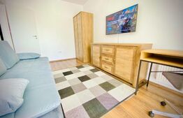 Apartament cu o camera, 40 mp, mobilat modern, zona strazii Porii