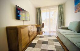 Apartament cu o camera, 40 mp, mobilat modern, zona strazii Porii