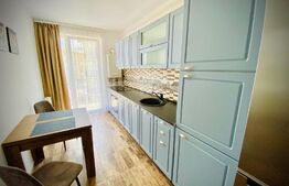 Apartament cu o camera, 40 mp, mobilat modern, zona strazii Porii