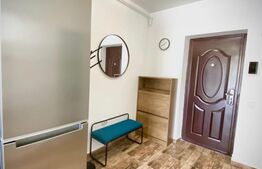 Apartament cu o camera, 40 mp, mobilat modern, zona strazii Porii