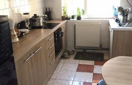 Apartament 1 camera, 33 mp, recent renovat, zona strazii Napoca