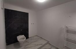 Apartament 2 camere, 70 mp, zona Piata Mihai Viteazu