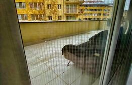 Apartament 2 camere, 56 mp, bloc nou, zona Florilor