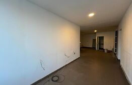 Spatiu industrial, pretabil si pentru birou, 139 mp, zona Garii