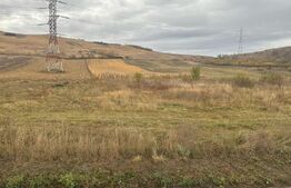 Teren extravilan in zona Centurii Cluj-Apahida