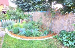 Casa ce se poate imparti in 3 ap, zona Petrom Baciu, 250 mp utili