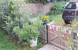 Casa ce se poate imparti in 3 ap, zona Petrom Baciu, 250 mp utili