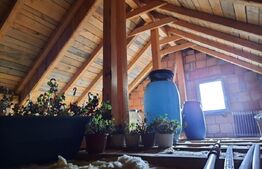 Casa ce se poate imparti in 3 ap, zona Petrom Baciu, 250 mp utili