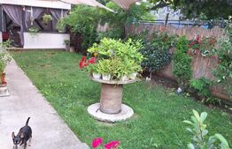 Casa ce se poate imparti in 3 ap, zona Petrom Baciu, 250 mp utili