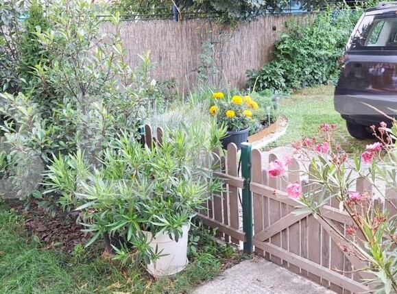 Casa de vânzare 6 camere Baciu - 141747CV | BLITZ Cluj-Napoca | Poza10