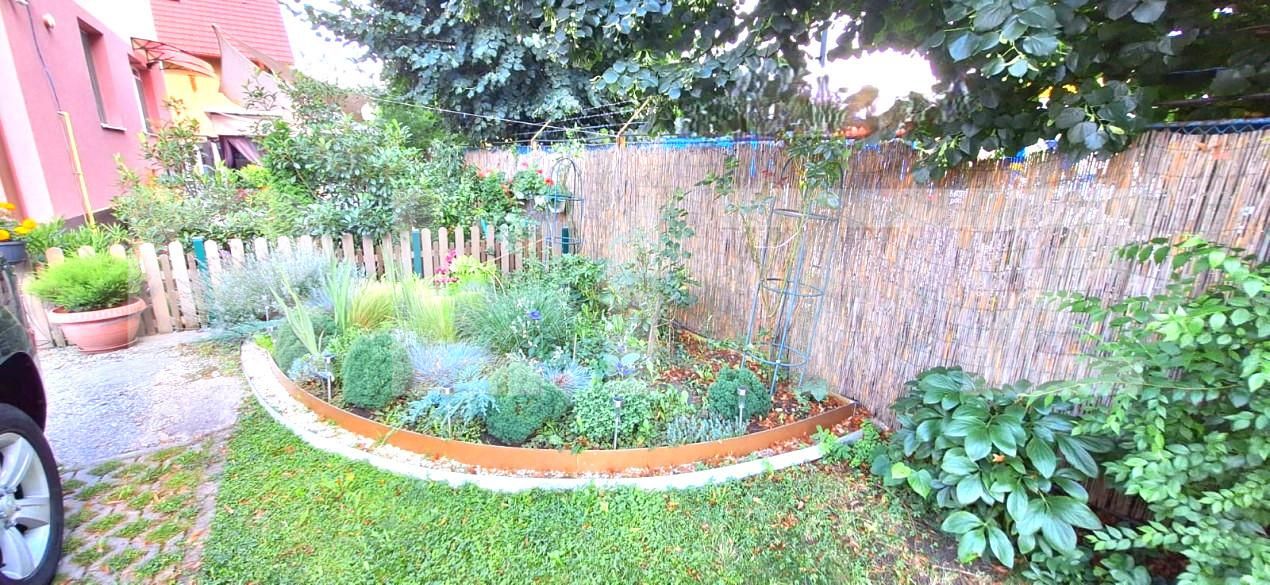 Casa de vânzare 6 camere Baciu - 141747CV | BLITZ Cluj-Napoca | Poza9