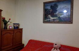 Casa curte comuna, 35 mp utili, zona Semicentrala