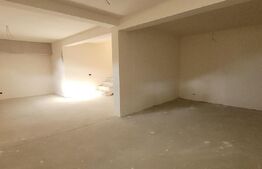  Apartament pe 3 niveluri, gradina, zona Avram Iancu