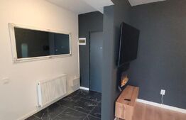 Apartament 2 camere, LUX, 58 mp, gradina 30 mp, Zona Teilor