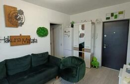 Apartament 2 camere, mobilat si utilat, 38mp, zona Fagului