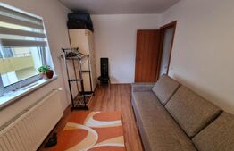 Apartament 2 camere, etaj intermediar, 53mp, parcare, zona strazii Muzeul Apei