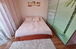 Apartament 2 camere, etaj intermediar, 53mp, parcare, zona strazii Muzeul Apei