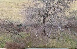 Apartament 2 camere, etaj intermediar, 53mp, parcare, zona strazii Muzeul Apei