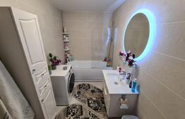 Apartament 2 camere, etaj intermediar, mobilat modern, zona Porii