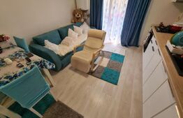 Apartament 2 camere, etaj intermediar, mobilat modern, zona Porii