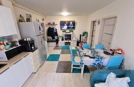 Apartament 2 camere, etaj intermediar, mobilat modern, zona Porii