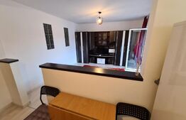 Apartament 2 camere, 46 mp, priveliste, balcon, zona strazii Florilor