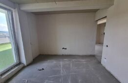 Ap 2 camere, 50mp, terasa 42 mp, panorama, zona Terra