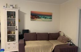 Apartament 2 camere, terasa 50 mp, loc de parcare, zona Vivo!